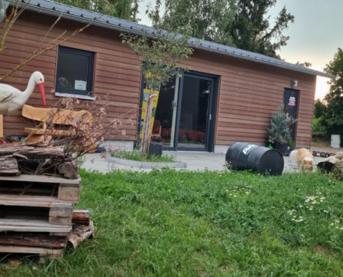 1000127694 Tier und Mensch in Balance - Bild 3