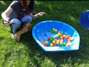 Tier und Mensch in Balance - Bild 3